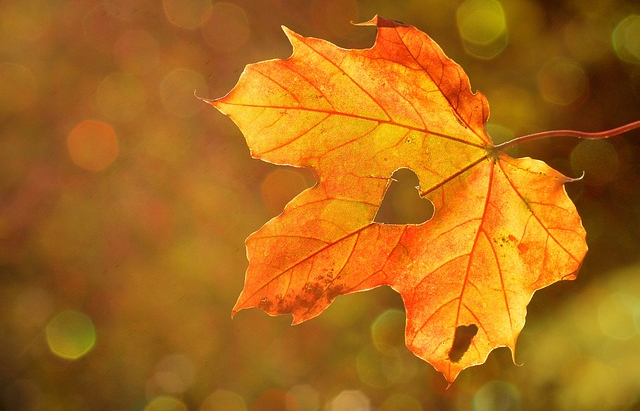 Ratkaisukeskeinen neuropsykiatrinen valmennus